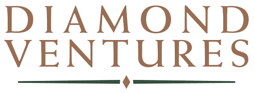 Diamond Ventures Logo